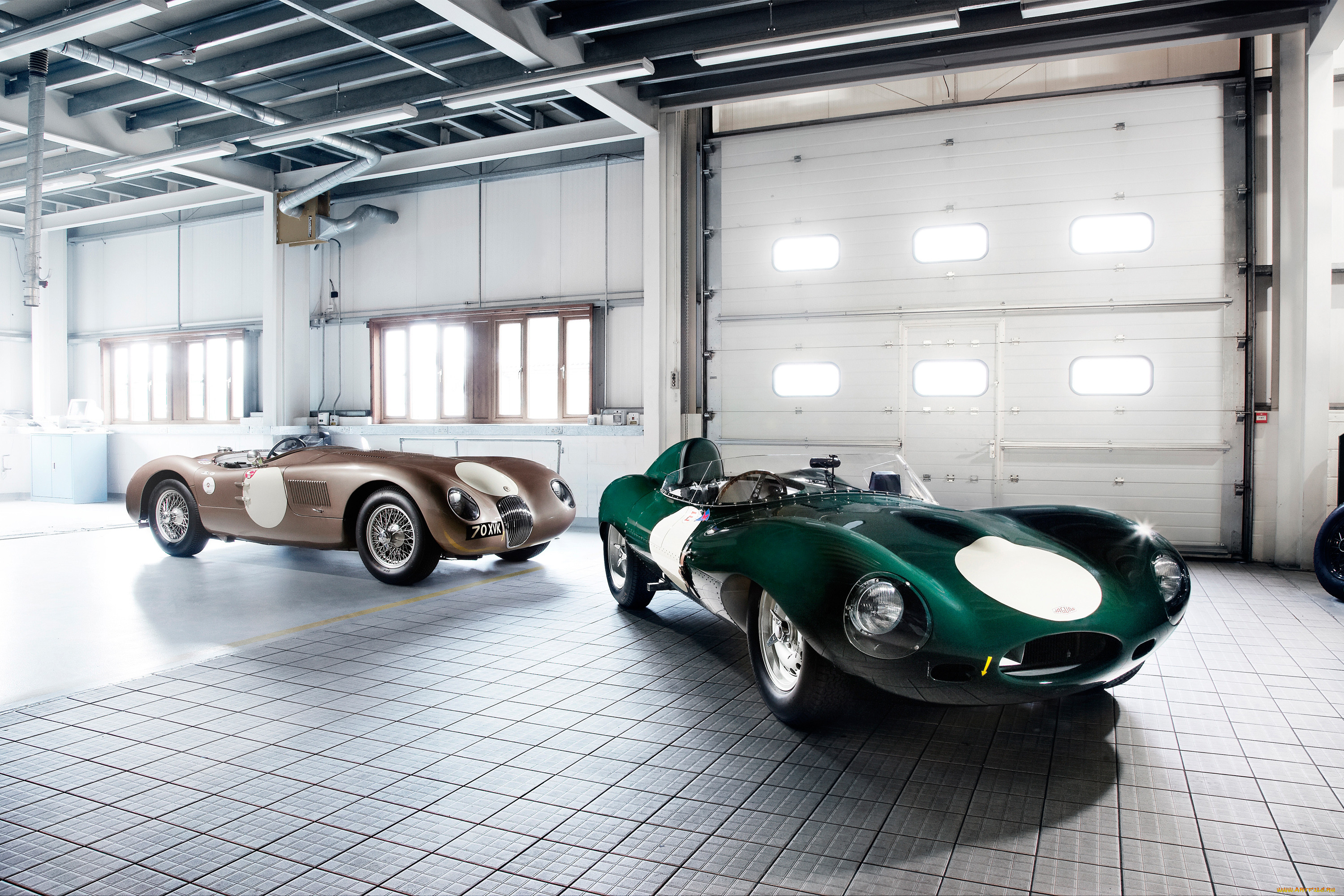 , jaguar